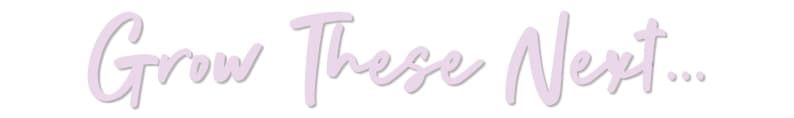 An image added to the post.